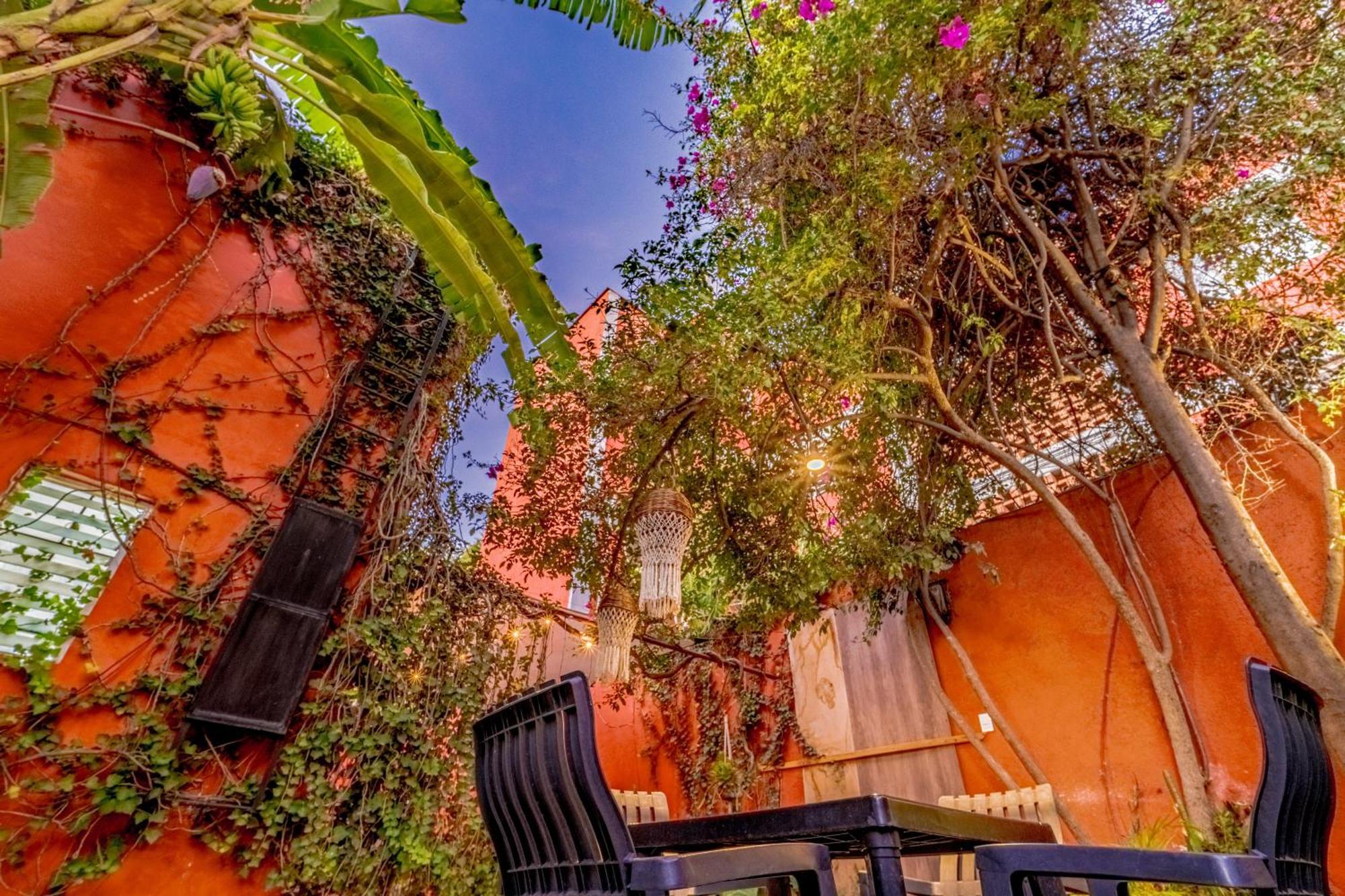 Casa Guanab Guest House Oaxaca ภายนอก รูปภาพ
